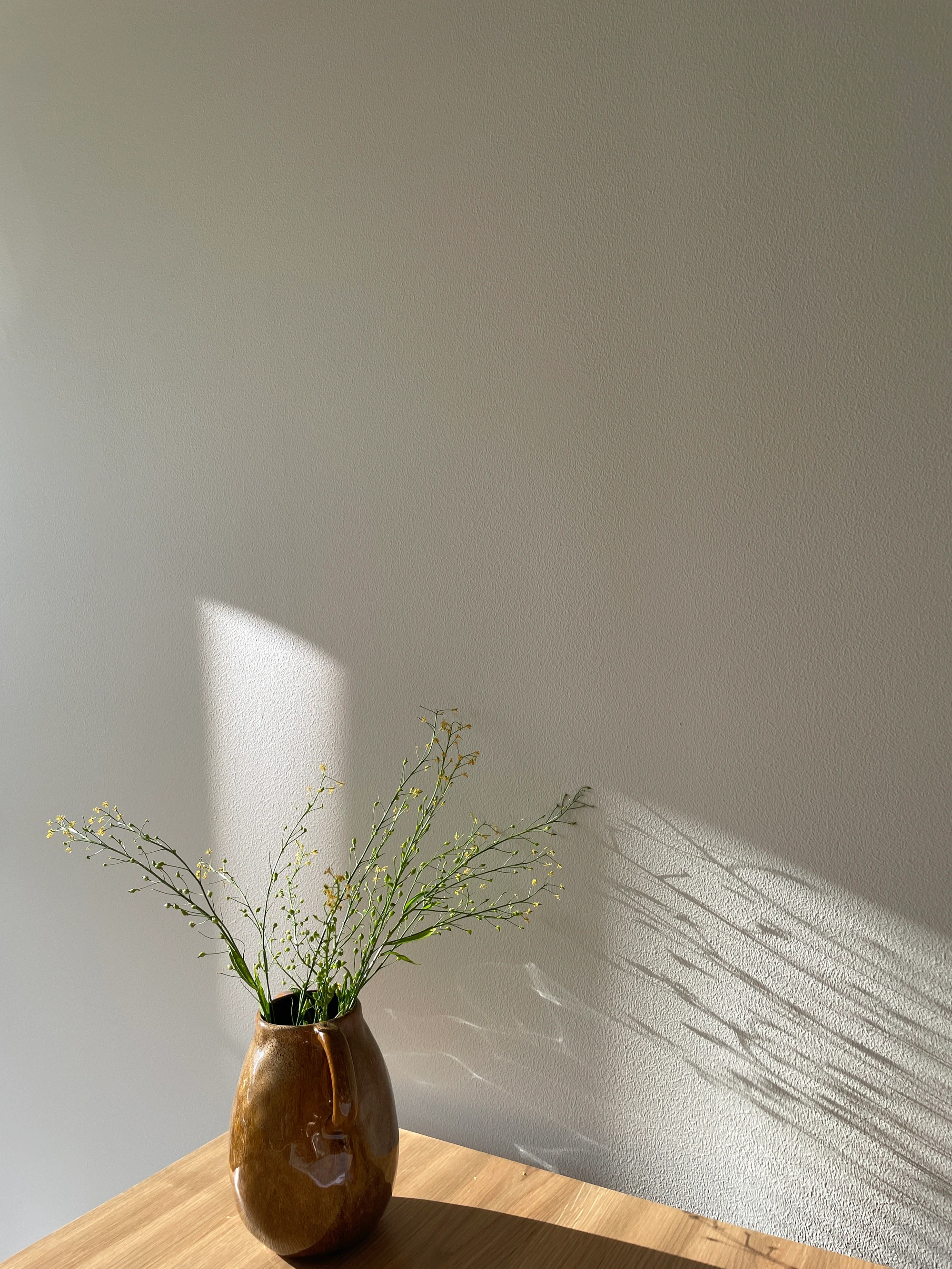 Ceramic vase with delicate flowers casting shadows on a textured wall