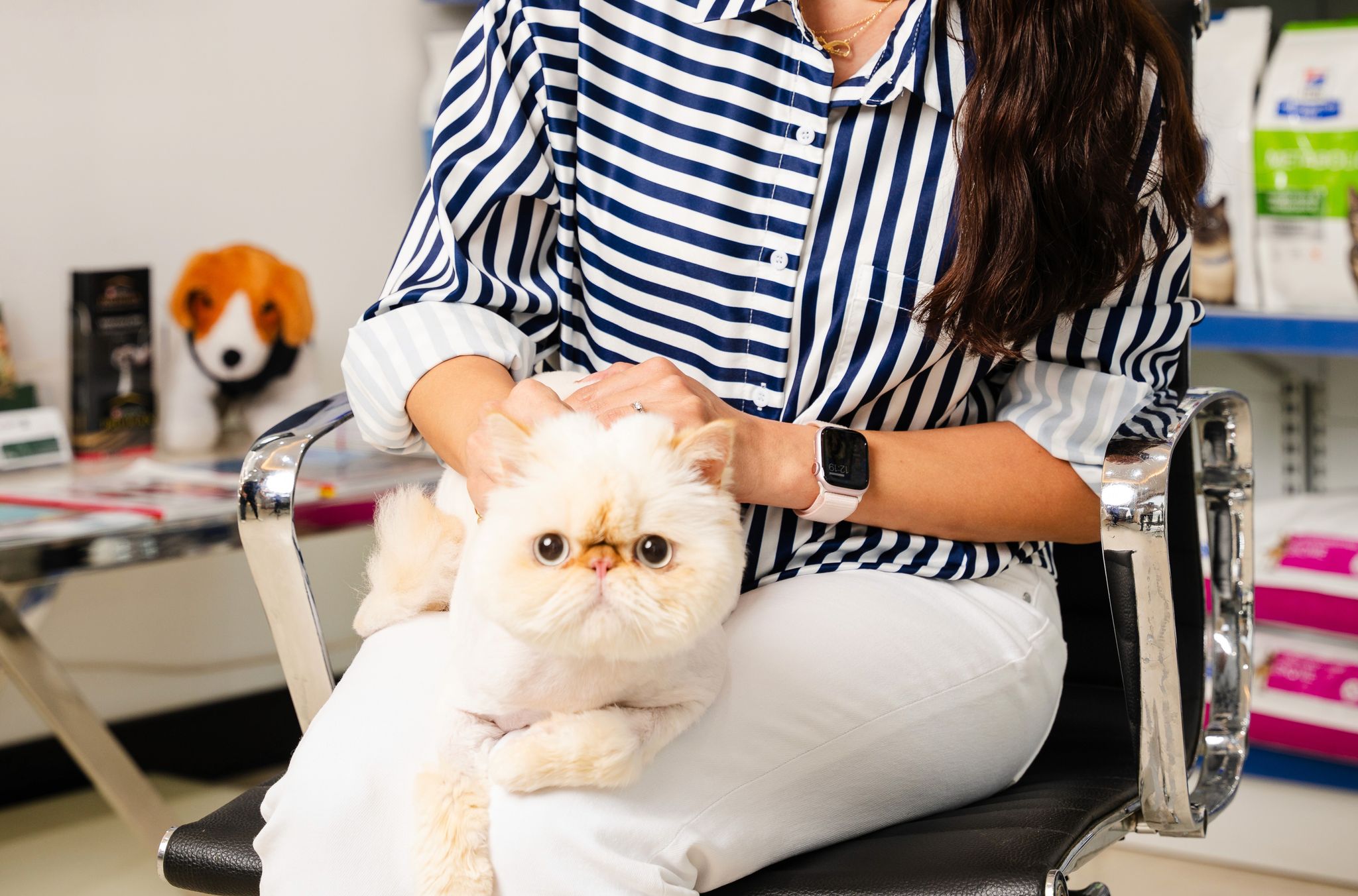 Preventing cat ear infections for better health