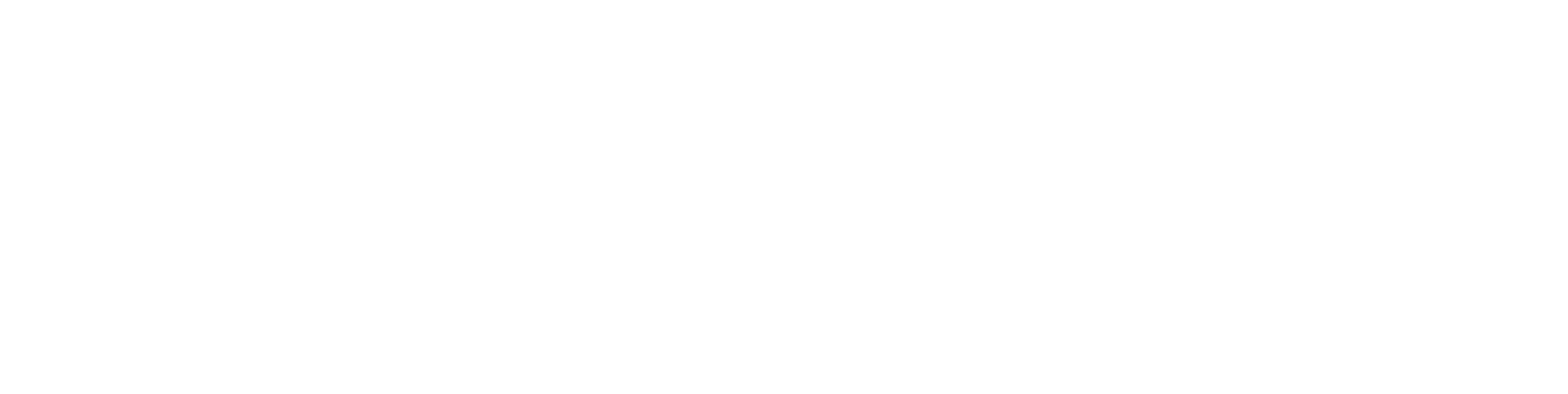 Logo Design Project for a Client