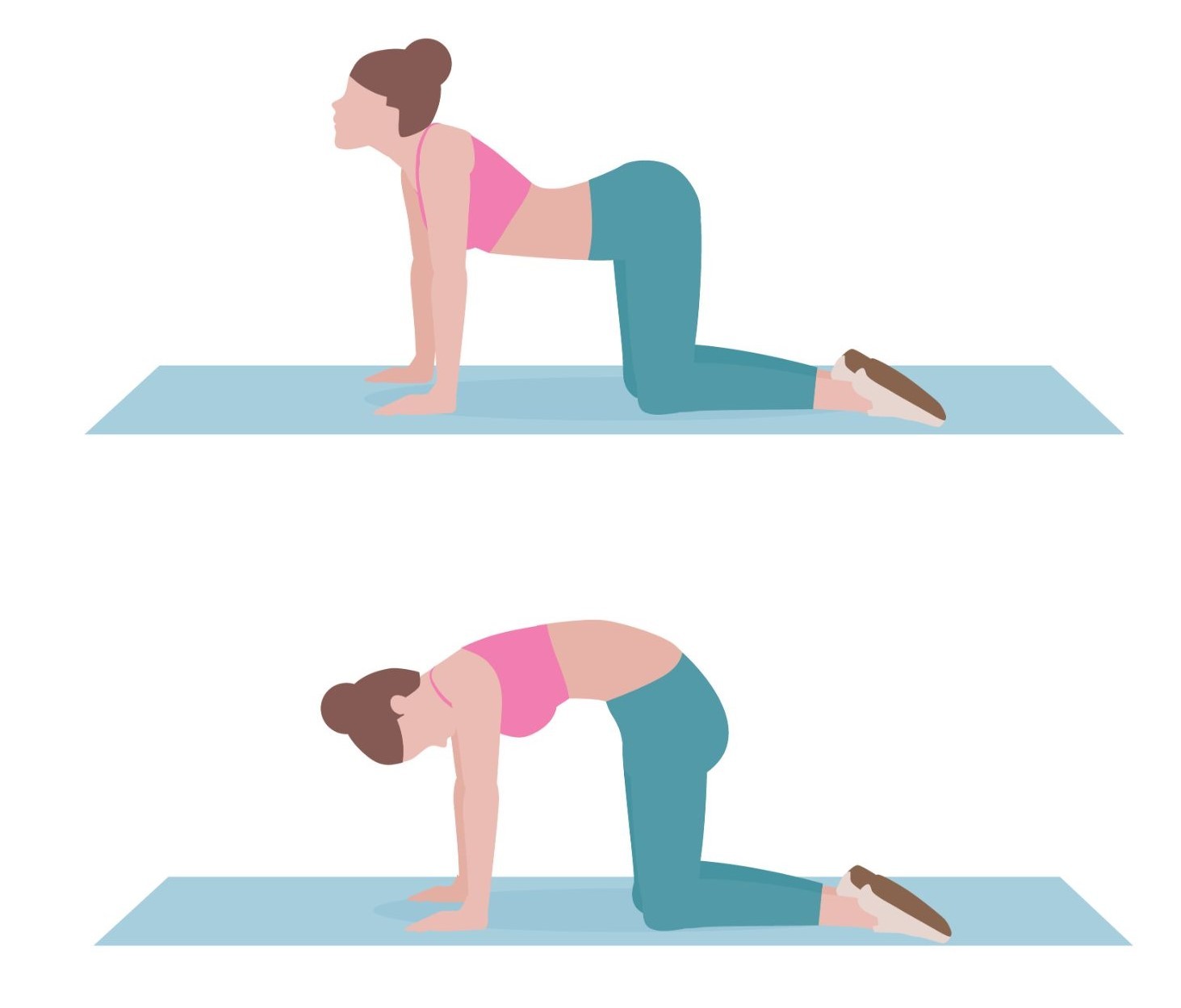 An illustration of a person on a yoga mat performing the cat-cow stretch, showing both the arched back and rounded back positions.