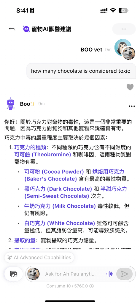Boo AI Triage Chatbot