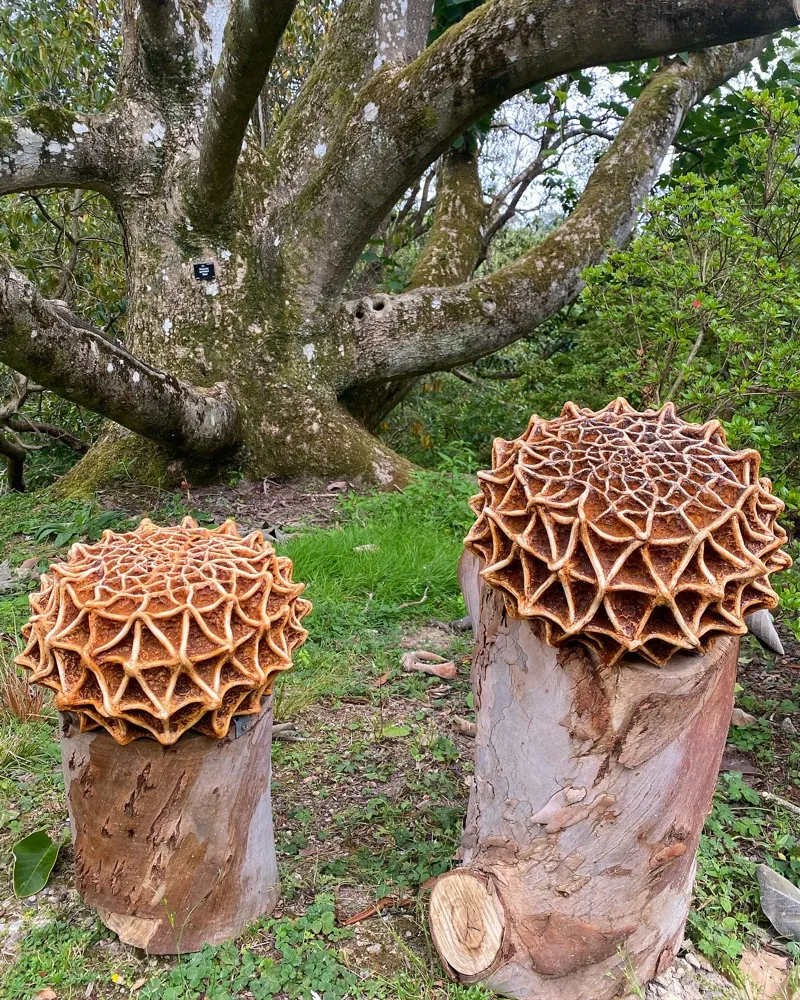 2 butterfly egg adonis sculptures in woods