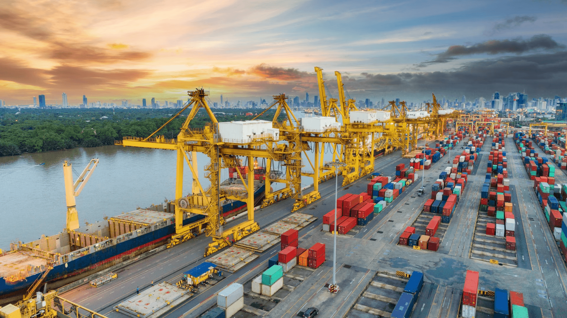 Image of a network card