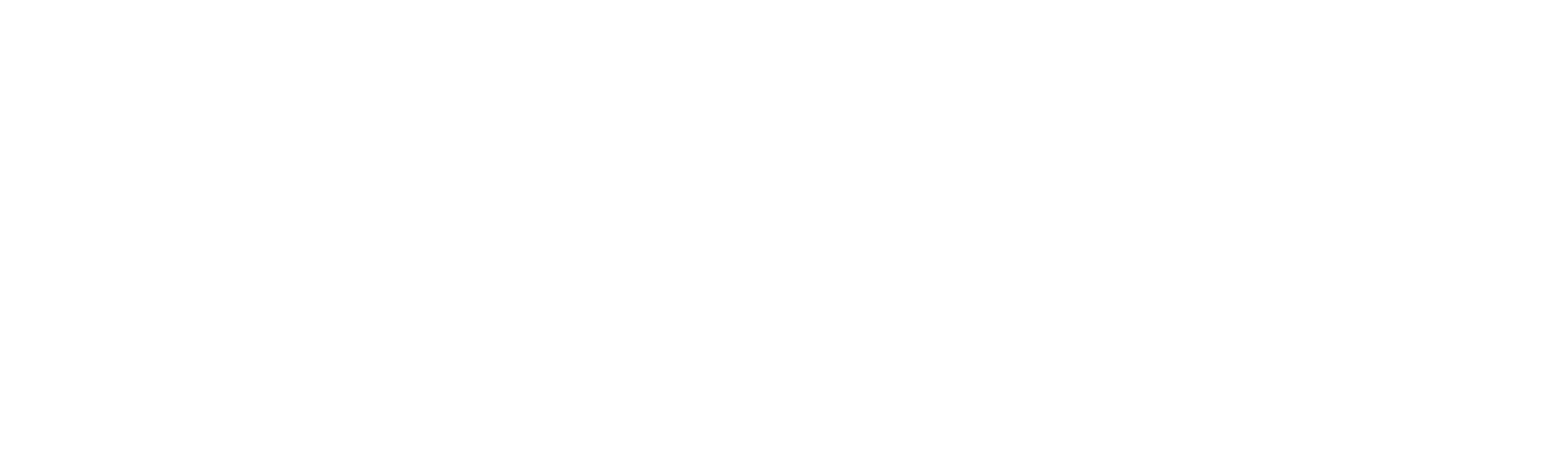 A dummy company logo