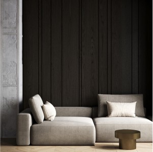 Modern, minimalistisk rum med en ljusgrå soffa och mörk gardiner