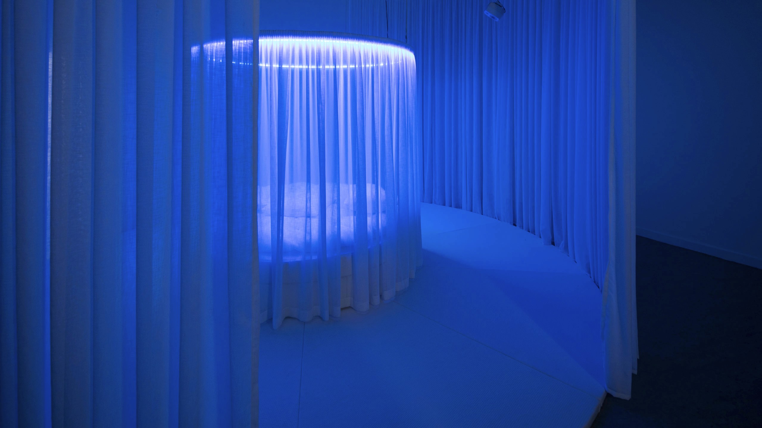 circular bed with curtain surrounded by a larger area of circular curtains bathed in blue light