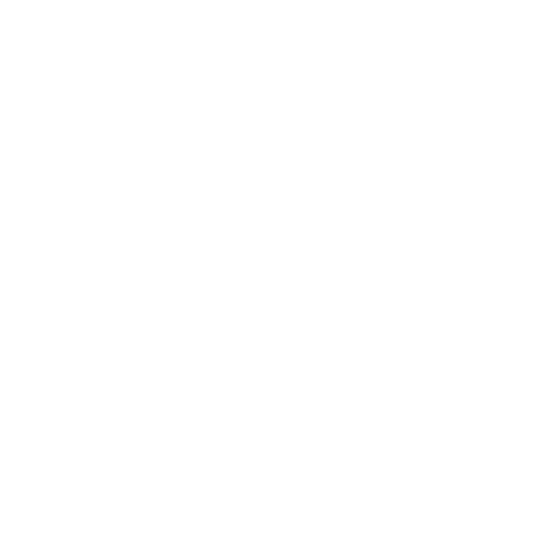 SD 3 Large Turbo Model