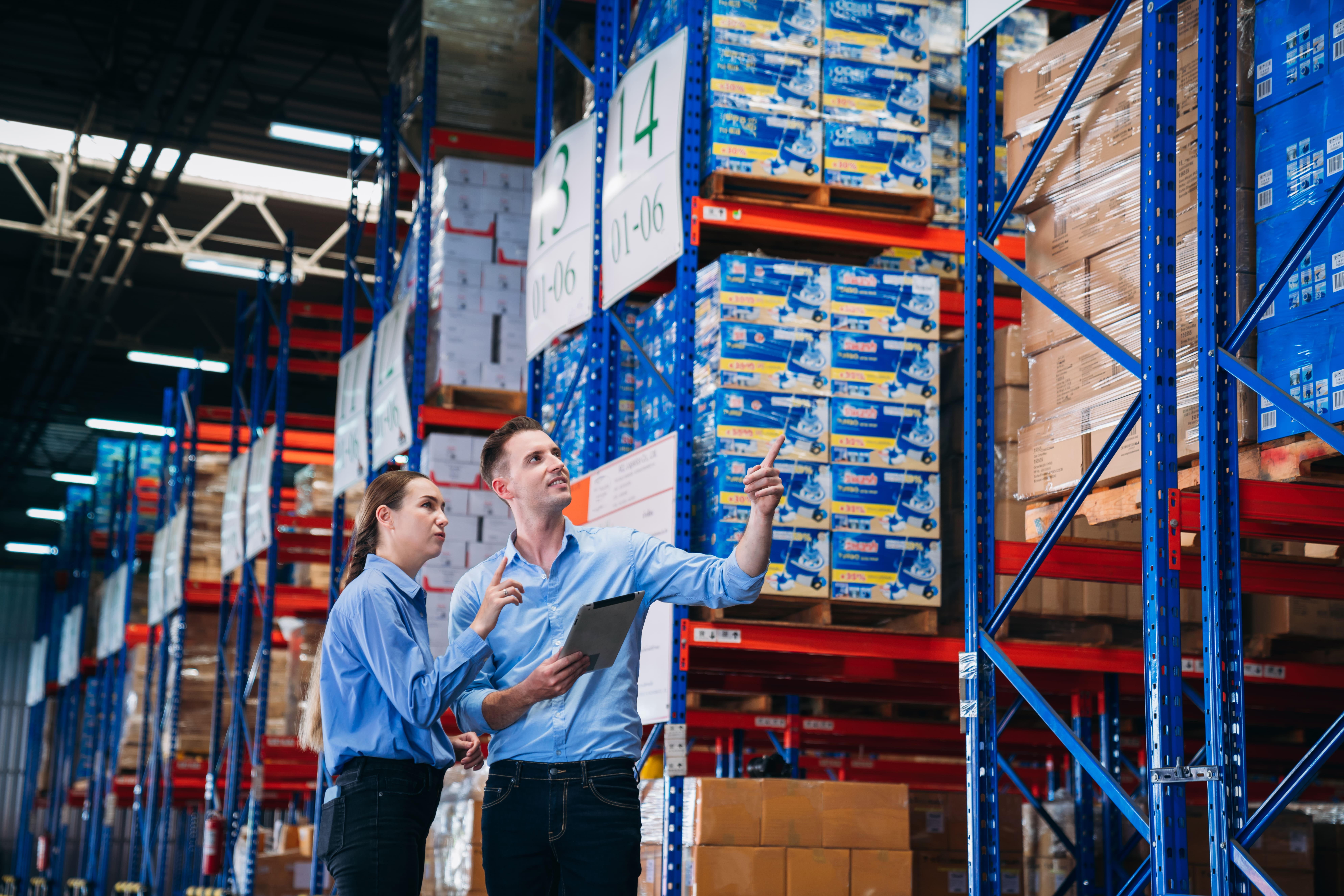Apples in a factory conveyor belt.