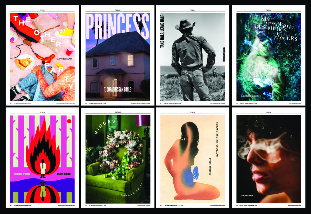 6 highlighted pages with illustrations