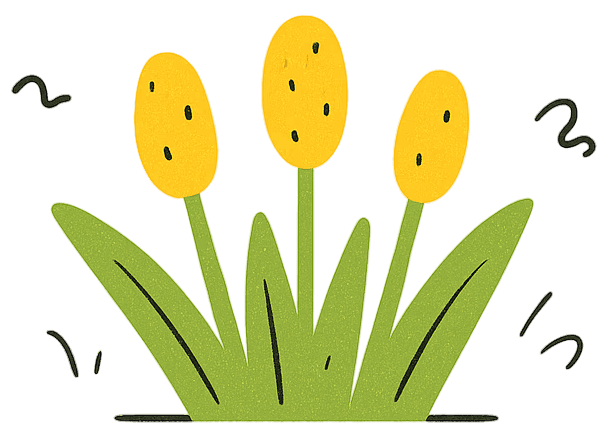 Three yellow flowers blooming amidst green grass, with bees buzzing around them.