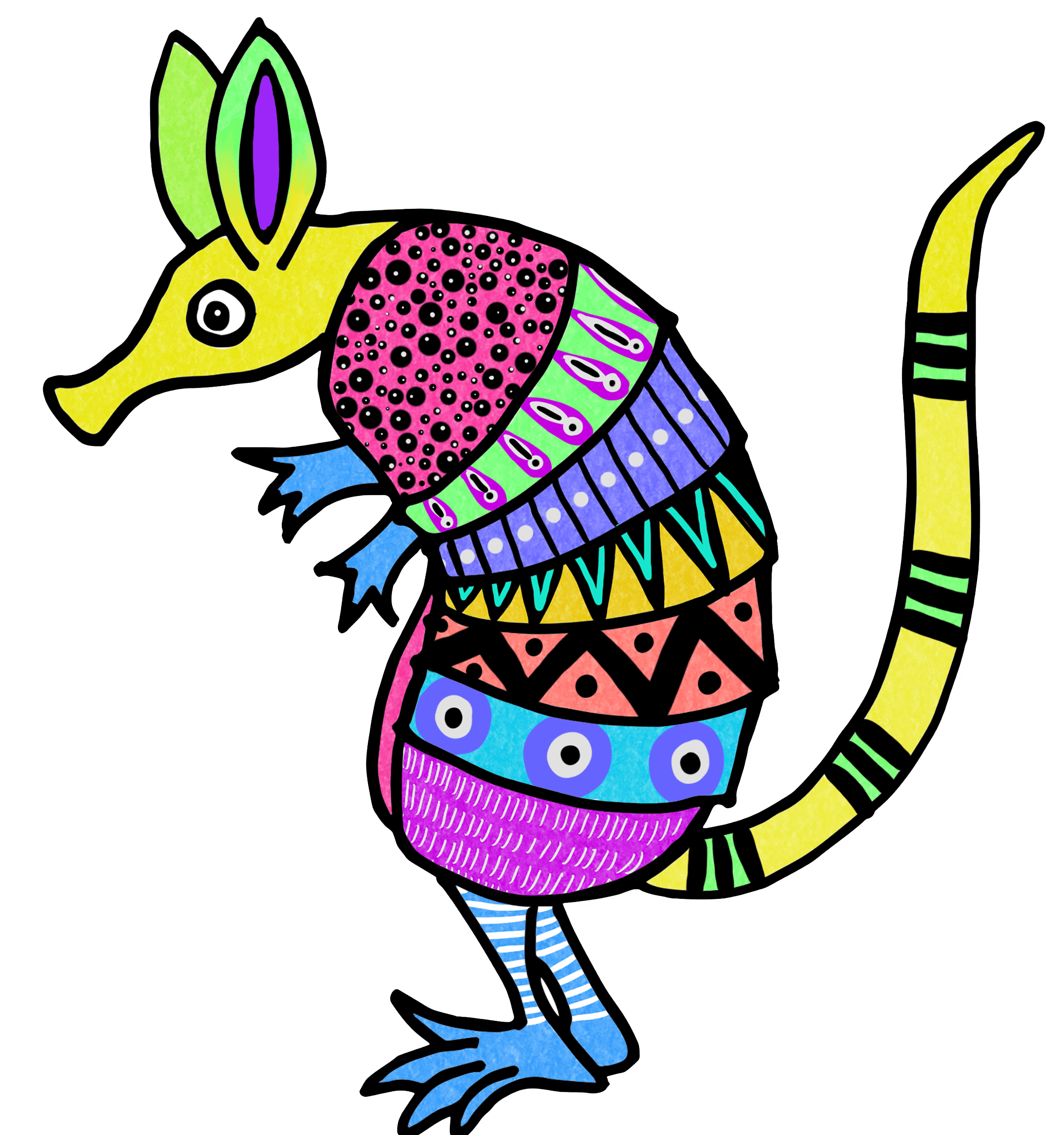 Pancho the Armadillo