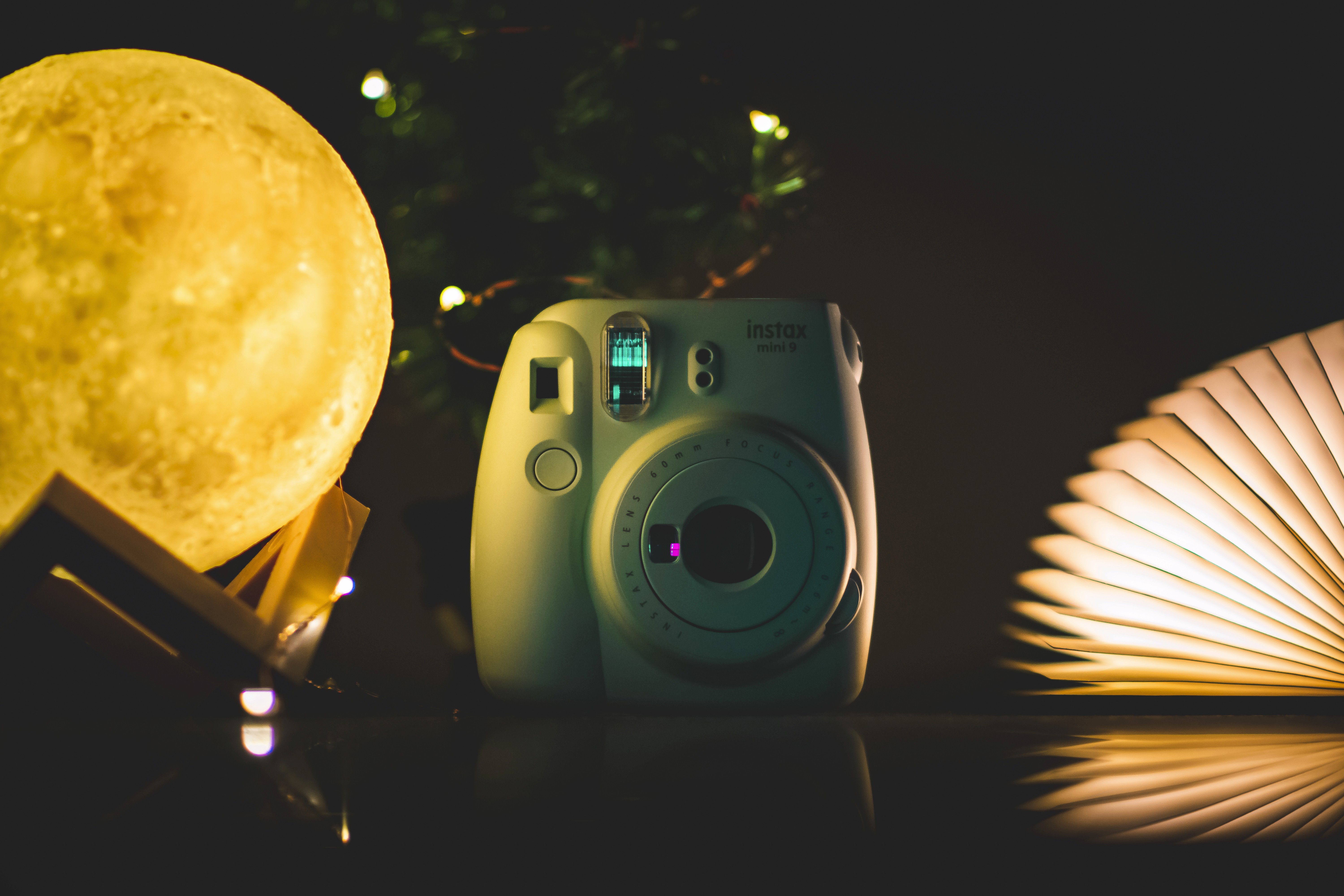 a woman holding a red flower
