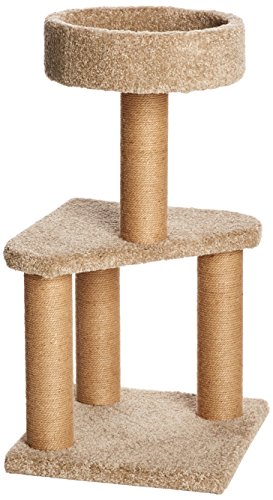 AmazonBasics Cat Activity Tree with Scratching Posts Review