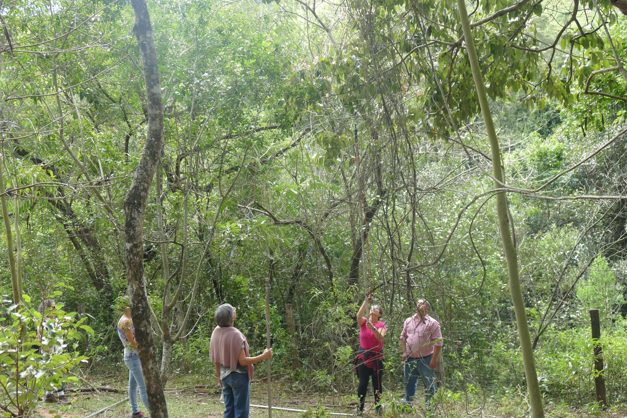 Grupo de pessoas em clareira no meio da mata reflorestada da RPPN Duas Cachoeiras