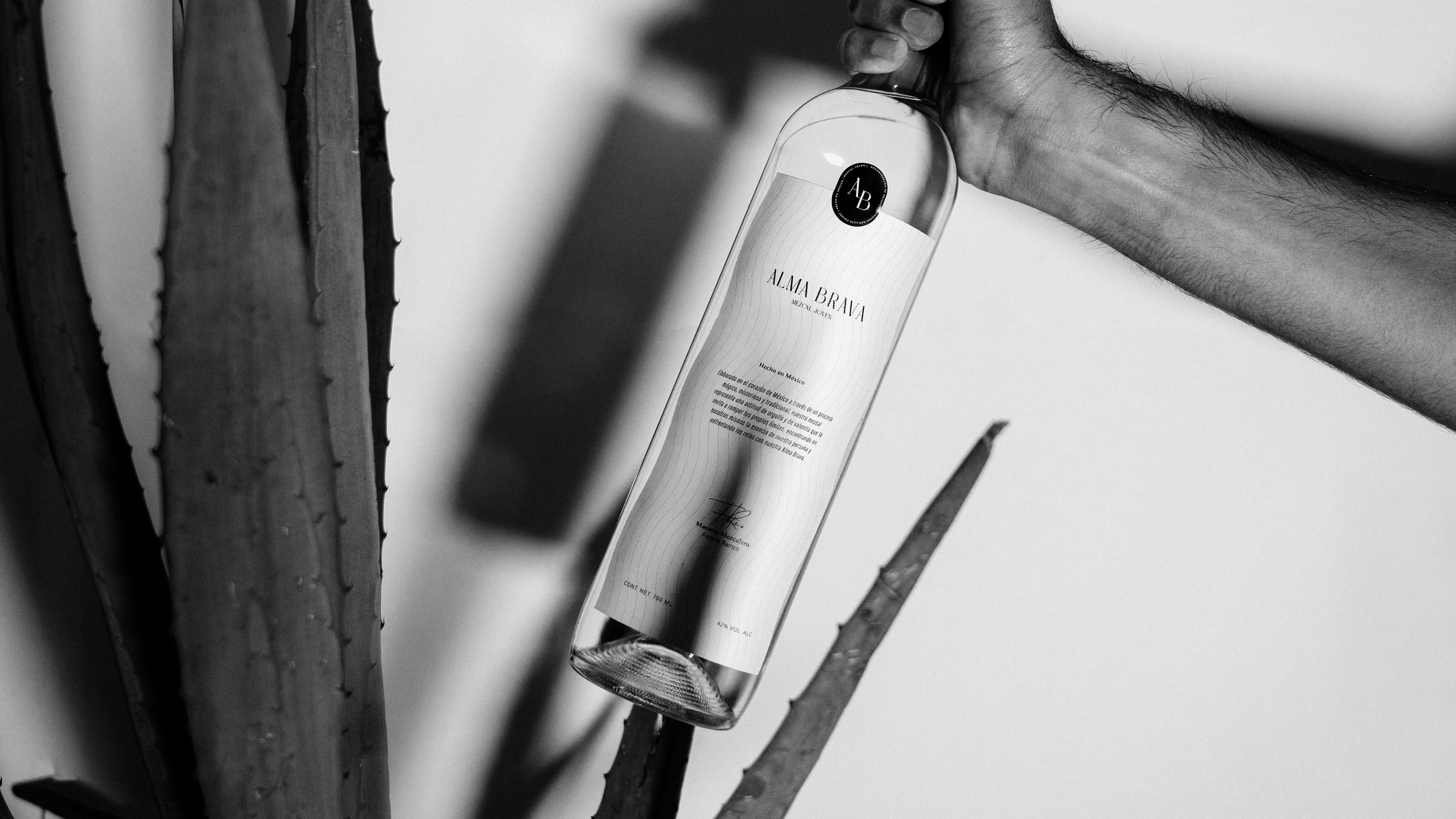 Here comes the alt text