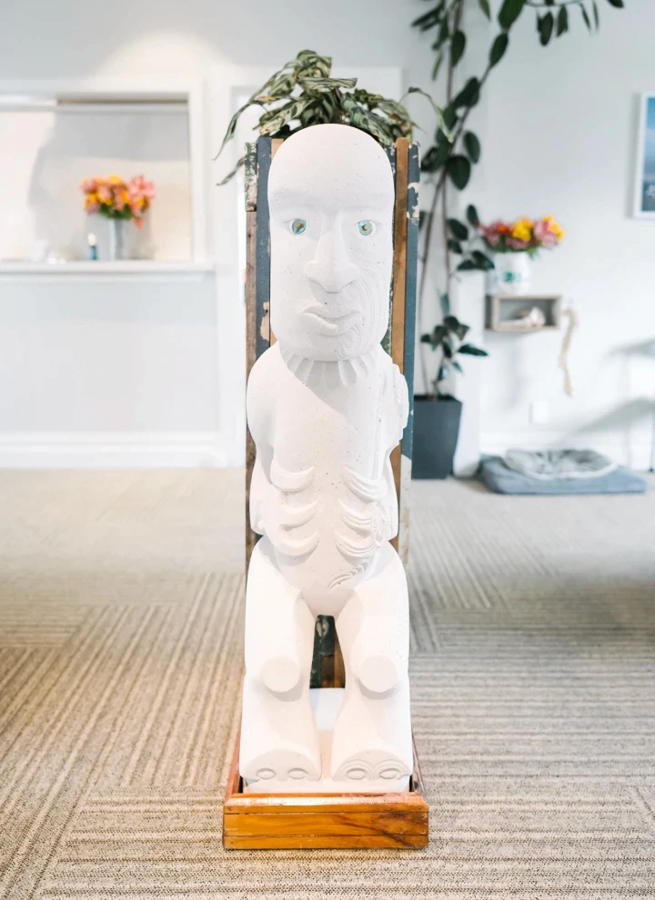 Chiropractic Workshop in Pukekohe