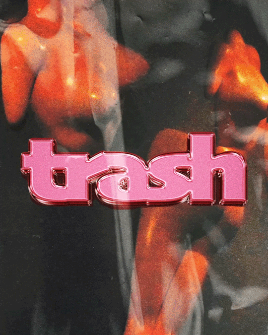 Portfolio Details Image