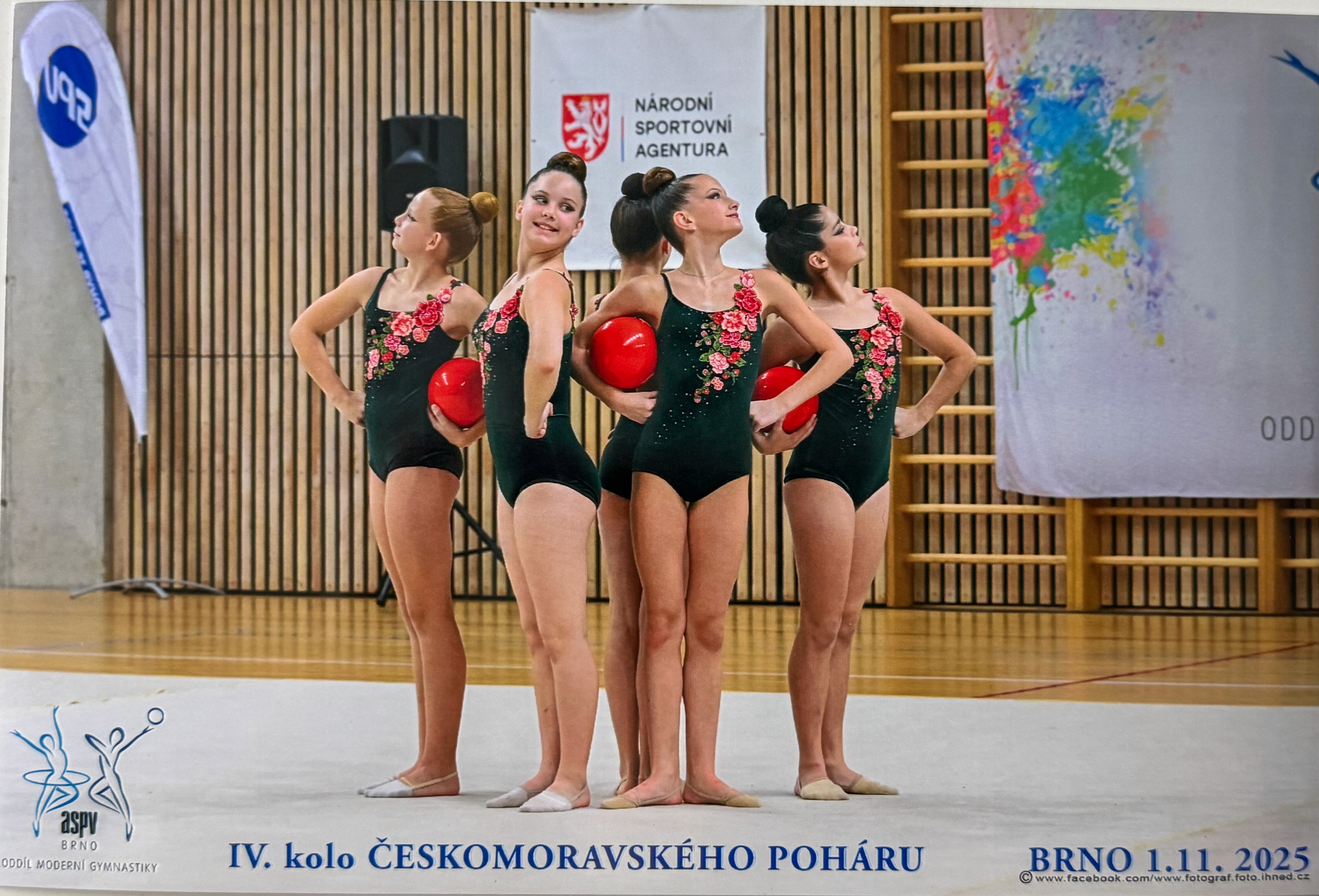Emerald leotards