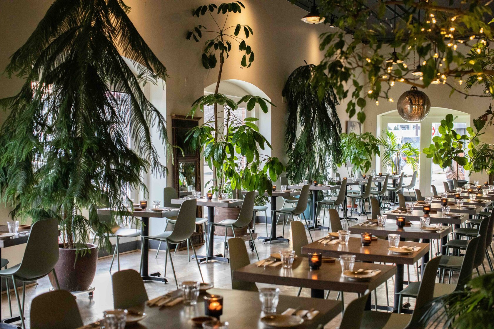 Alma Cocina Restaurant