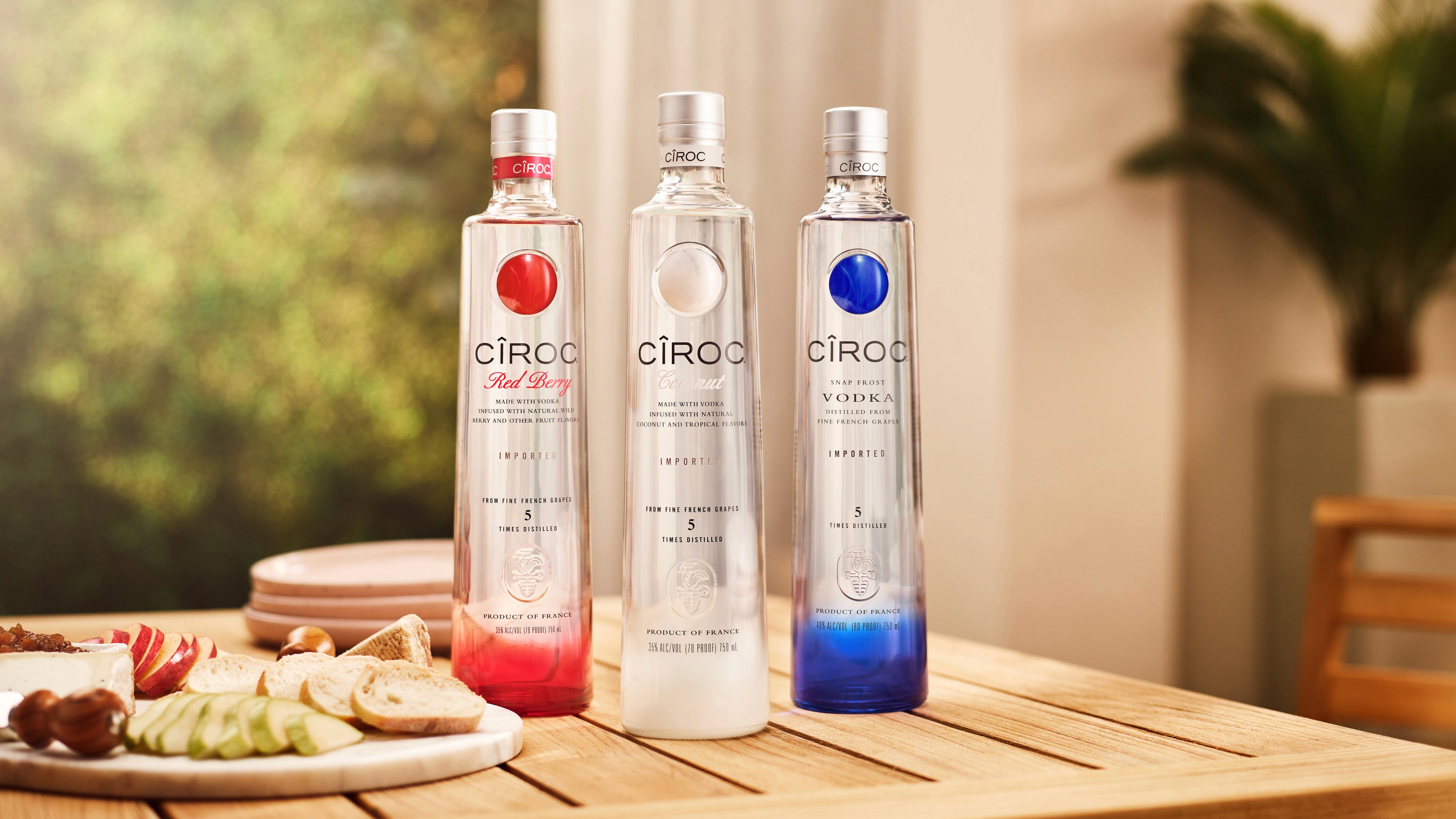 An Everyday Celebration Campaign