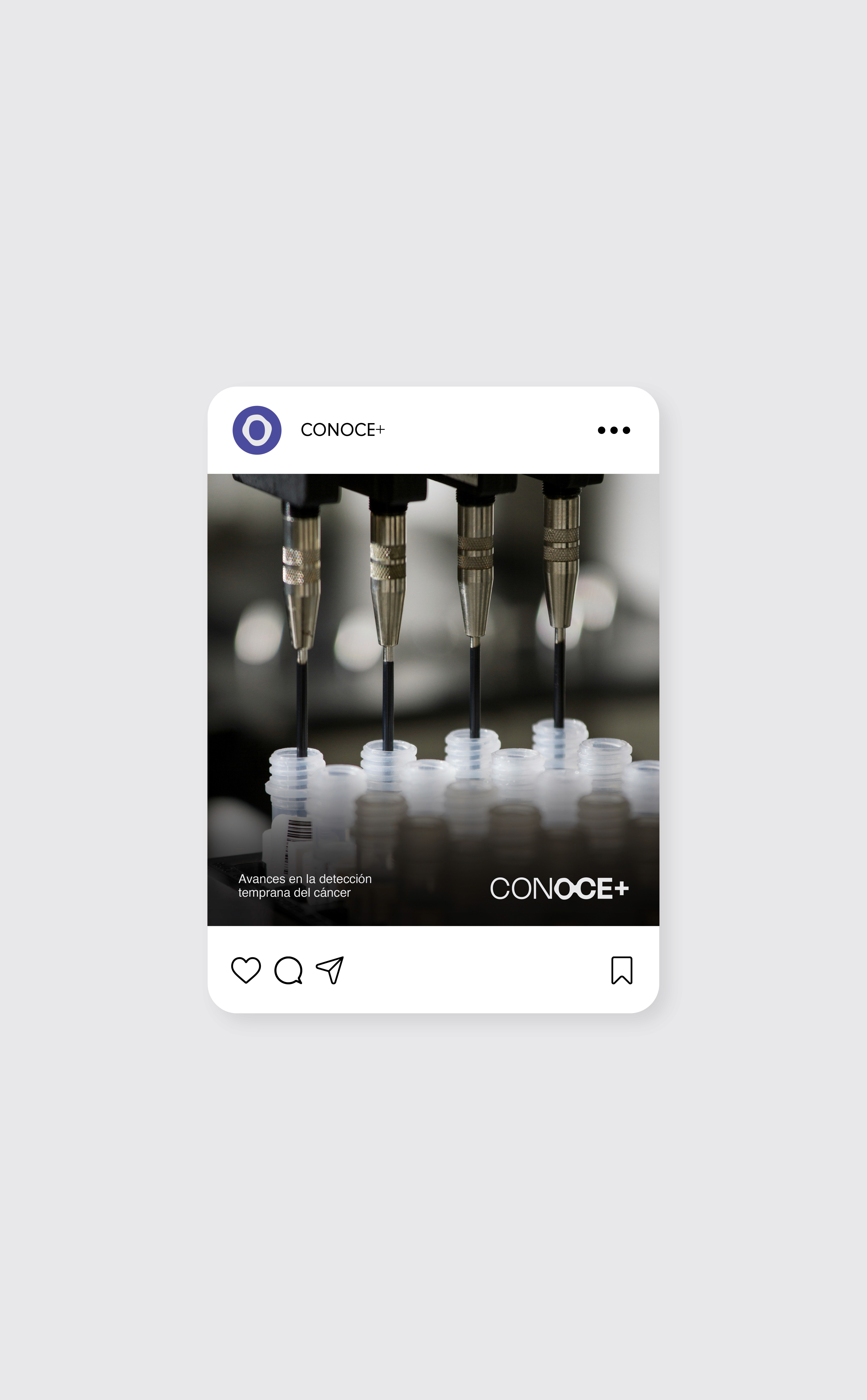 Conoce+ - Branding and visual identity - Social Media