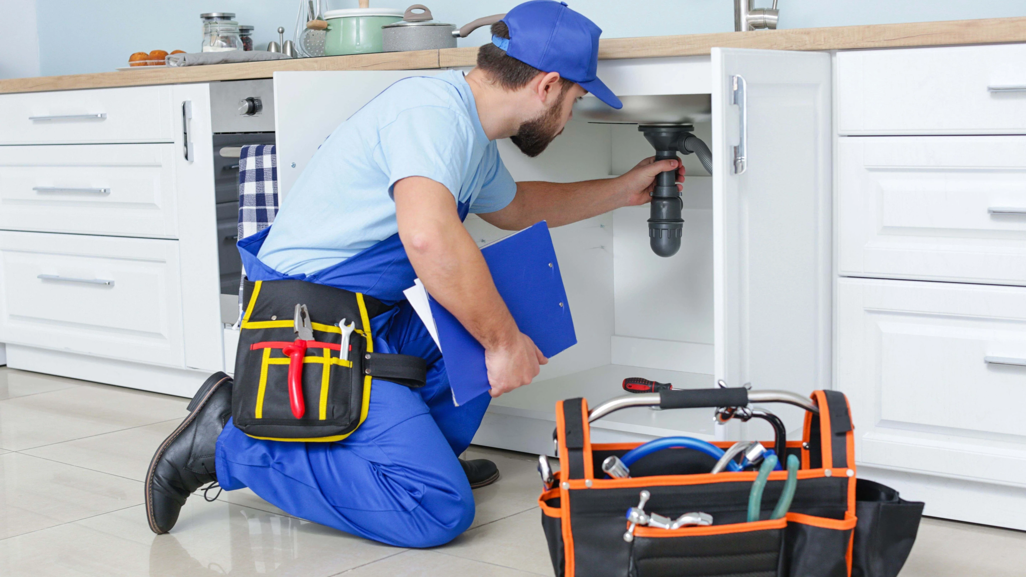 Close-up of a dark green leaf showing its textured surface and central vein against a muted background.