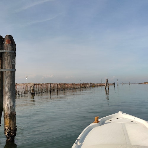 从近距离欣赏威尼斯基奥贾附近威尼斯泻湖的贻贝养殖场