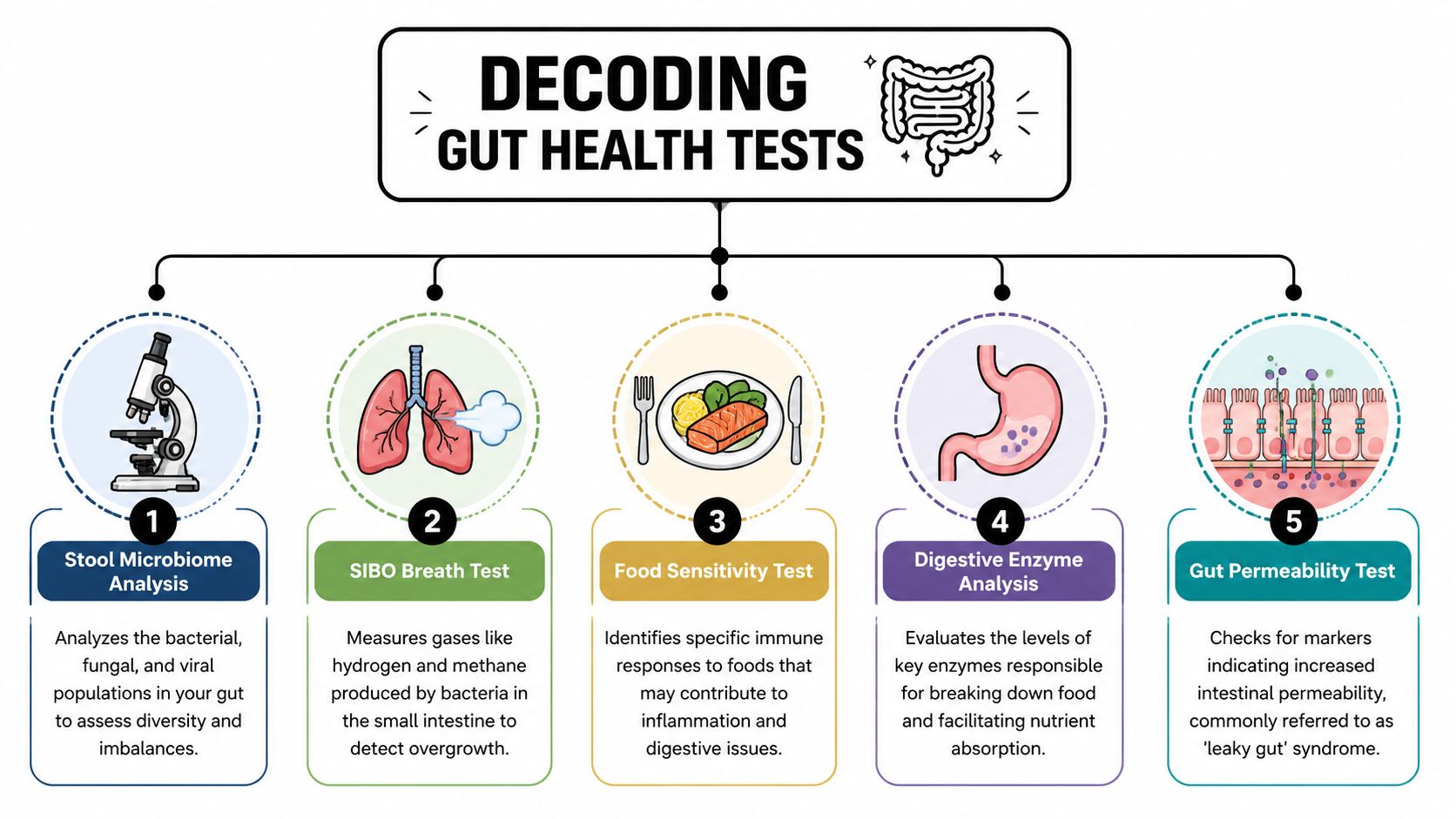 An infographic titled Decoding Gut Health Tests illustrating five different diagnostic tests for digestive health.