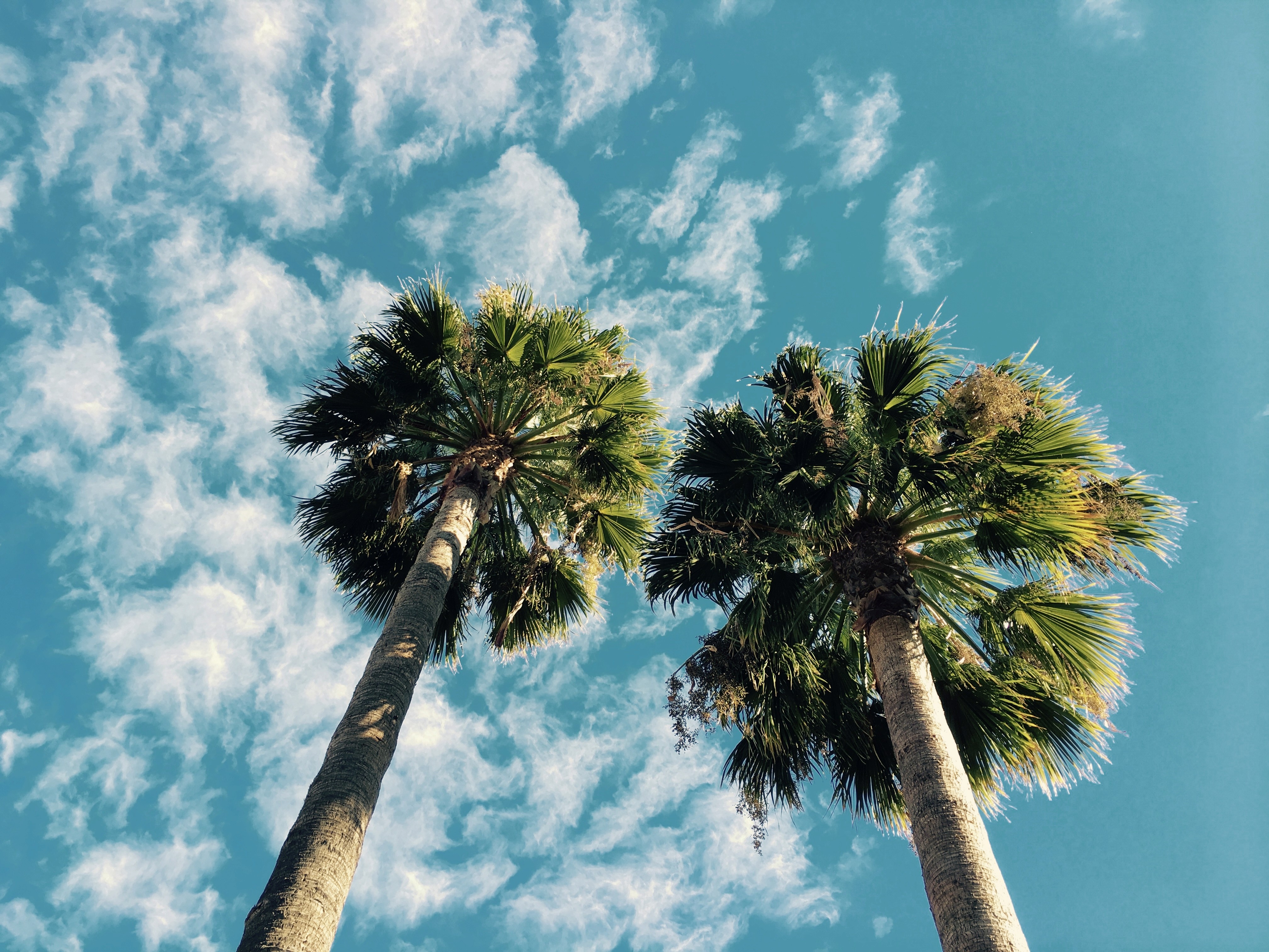 Black and white image of people working at a table with laptops, showing hands gesturing during discussion of digital content displayed on screens, with fabrica® logo in the corner.