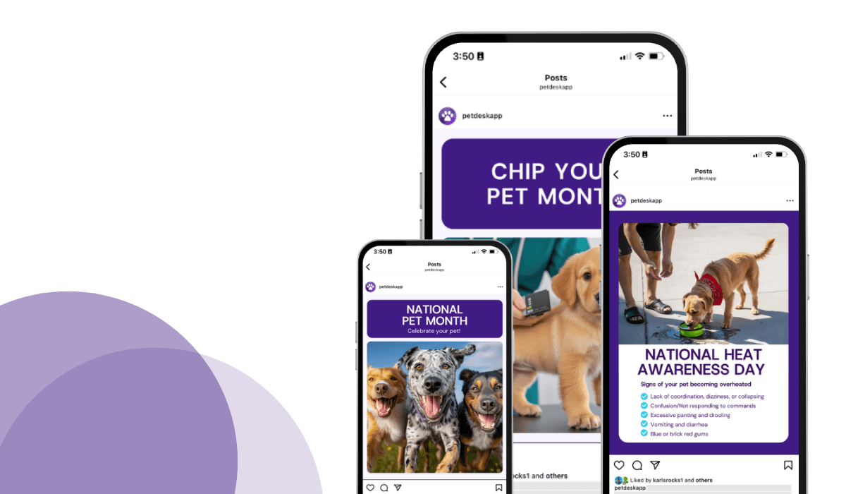 12 veterinary marketing ideas for the month of May