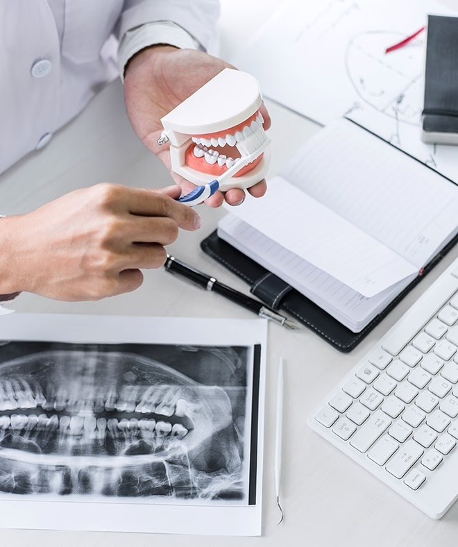 A doctor using a gum model showing how to brush teeth. 