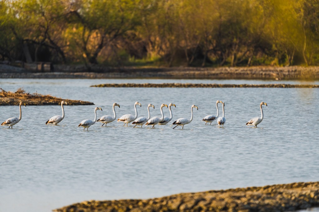 Aerial view of the Golden Island of Grado and the sandbars separating the lagoon from the Adriatic Sea.