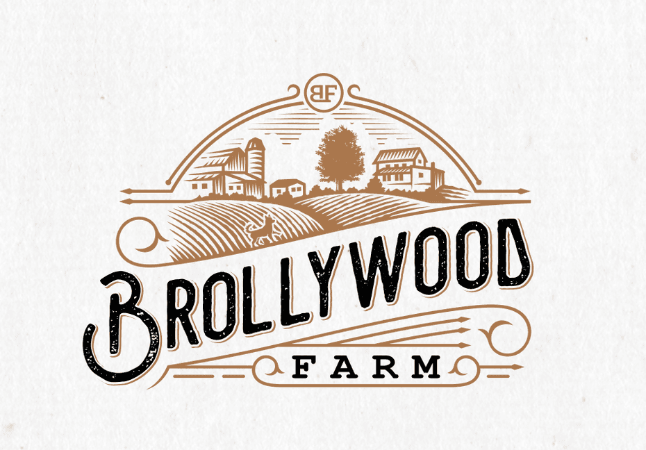 brollywood logo
