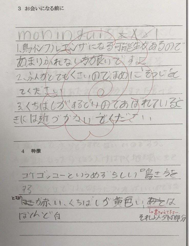 右往左往君への取説