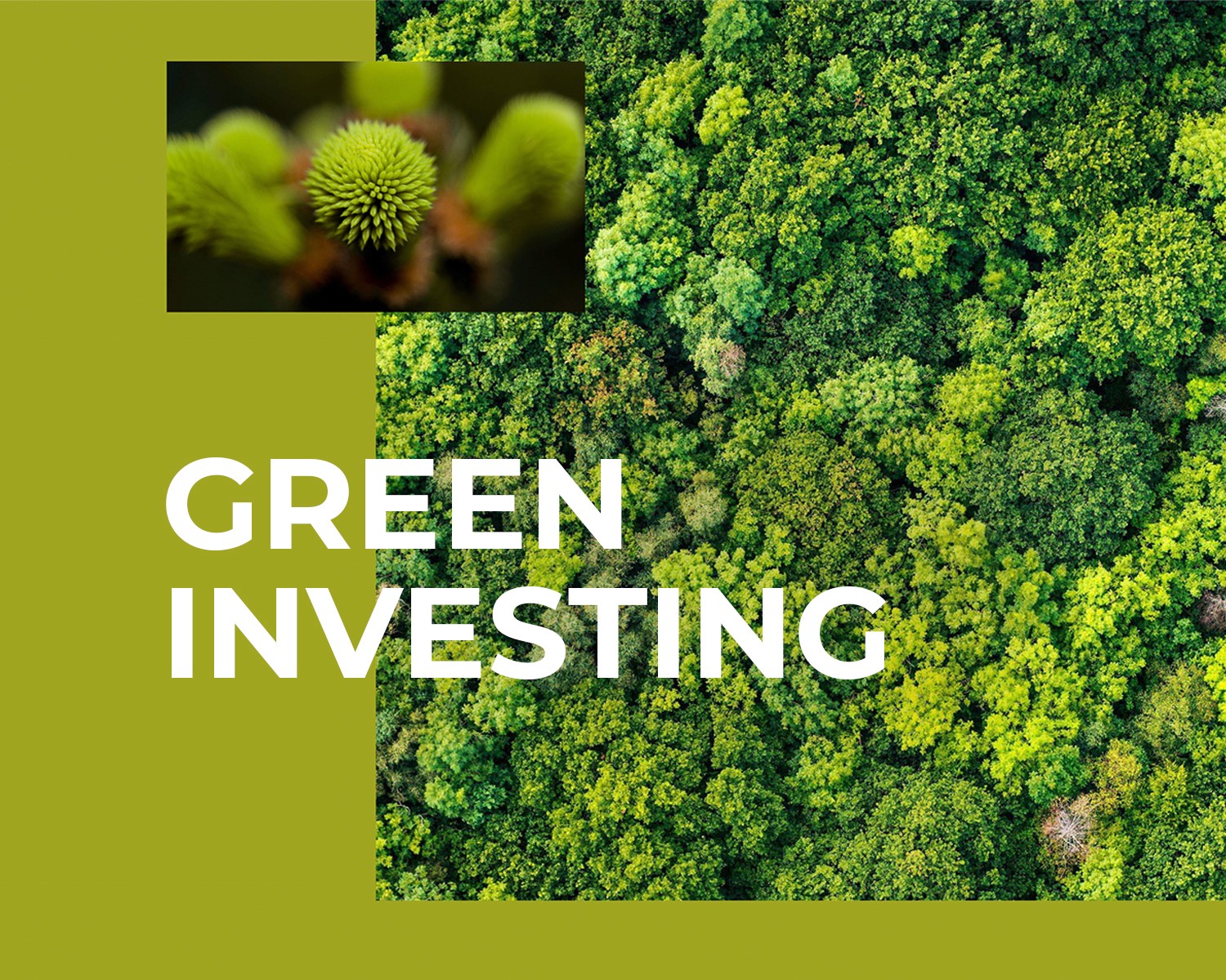 Green Investing Invest AG
