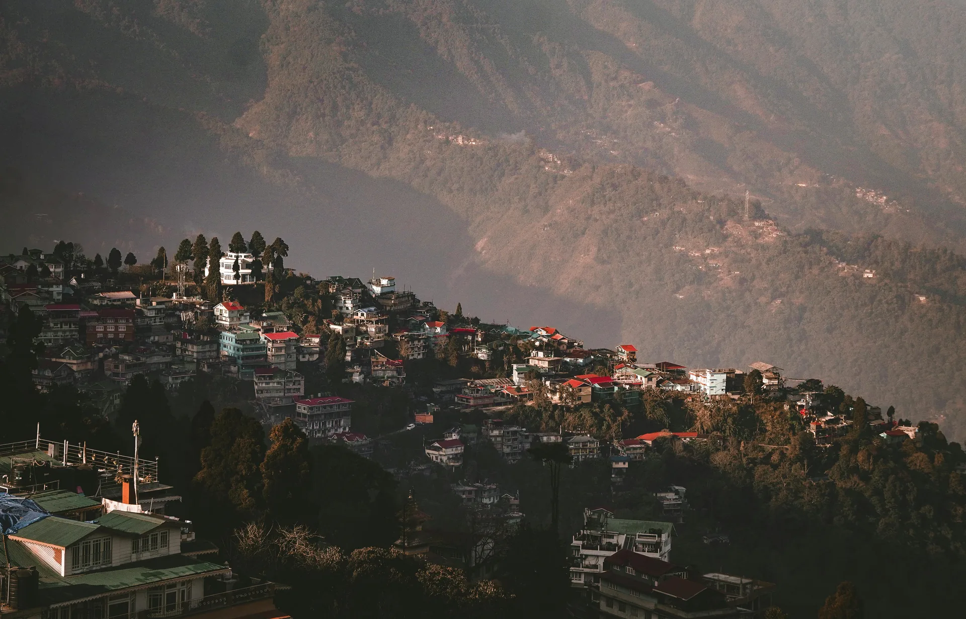 red train travelling near body of water