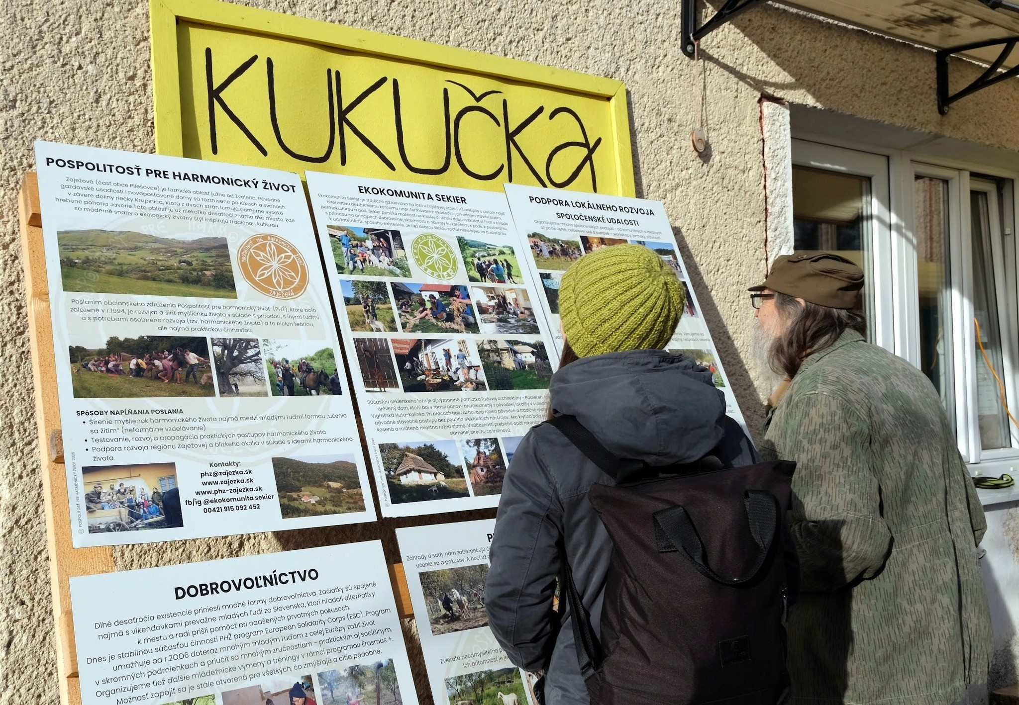 Close-up of lush, dark green leaves, some glossy and wet, against a muted background.