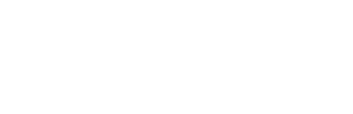 domi wordmark