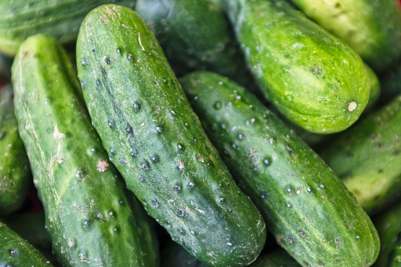 Cetrioli
