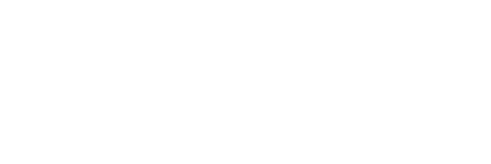FSG Logo