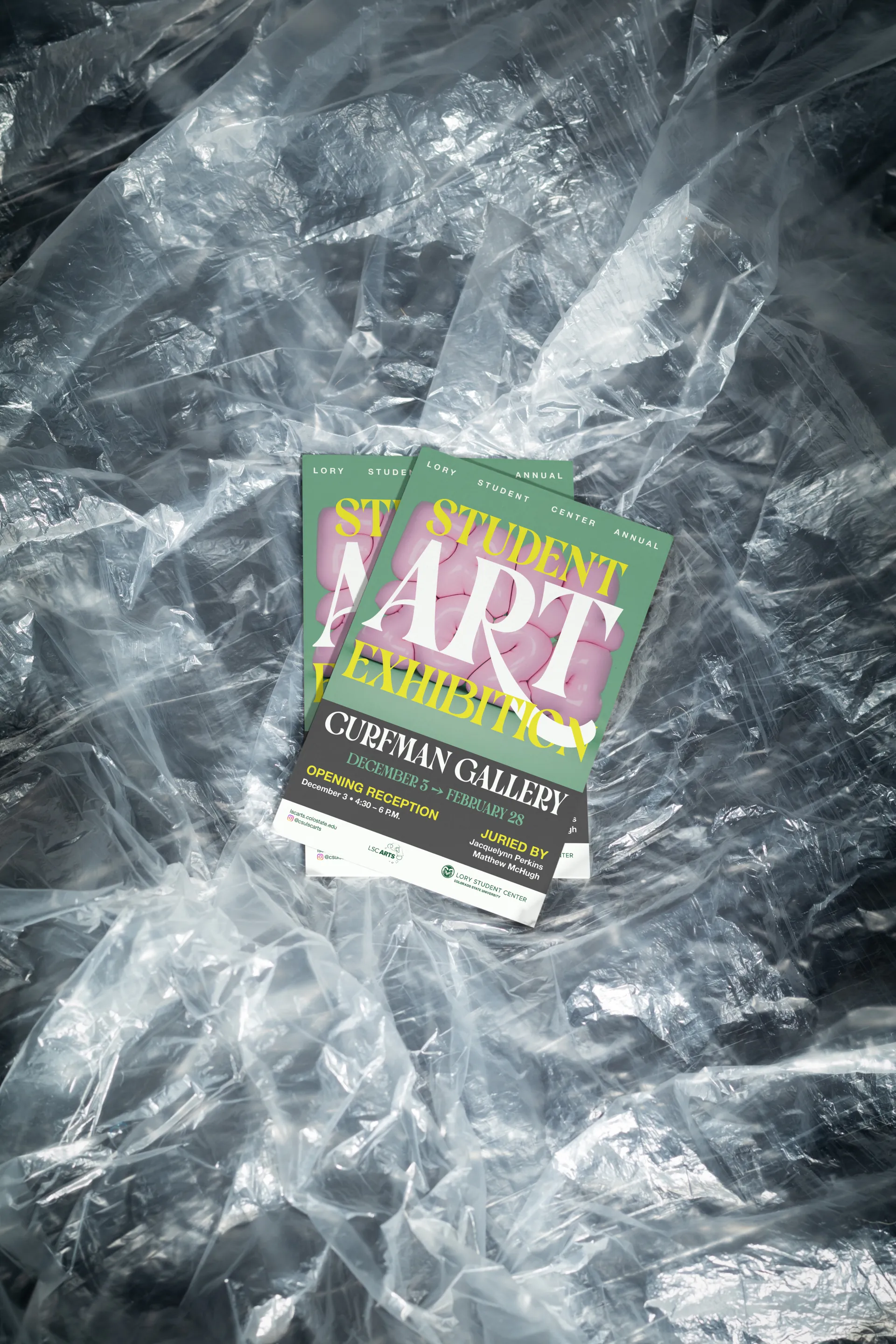 Posters for the 2024 CSU Student Art Exhibition