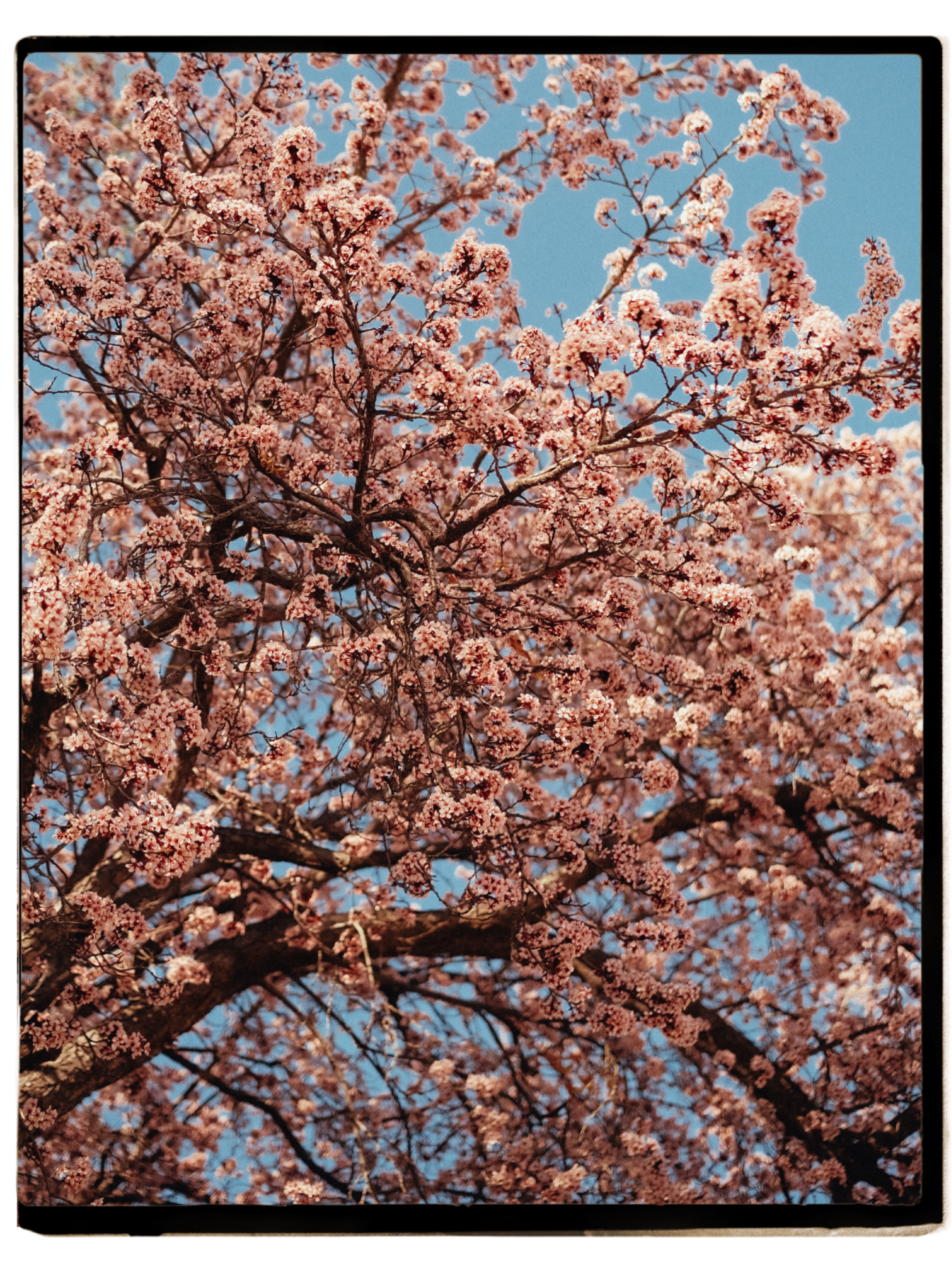 Spring in Utah