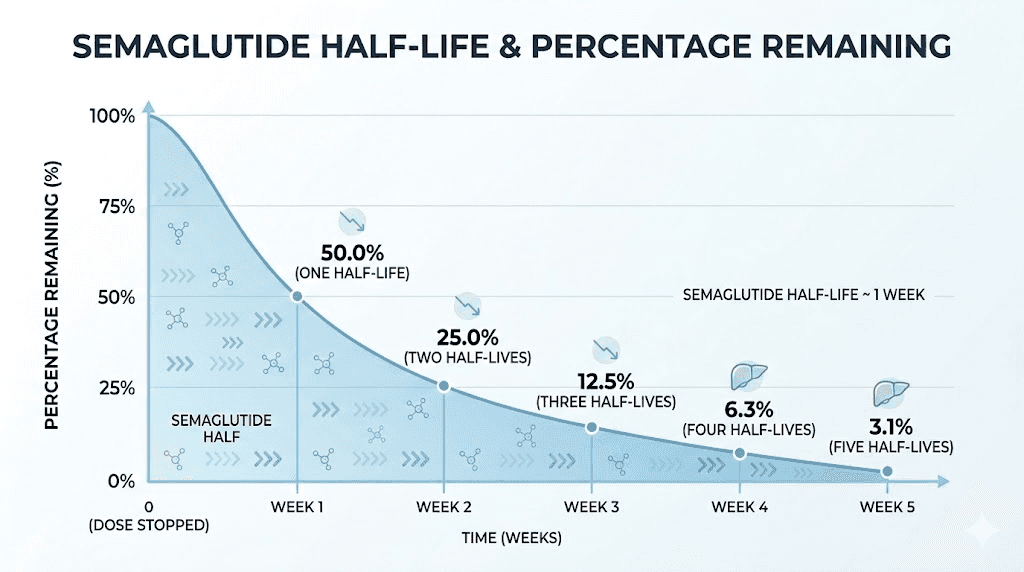 Semaglutide half-life chart showing drug elimination percentage each week after stopping