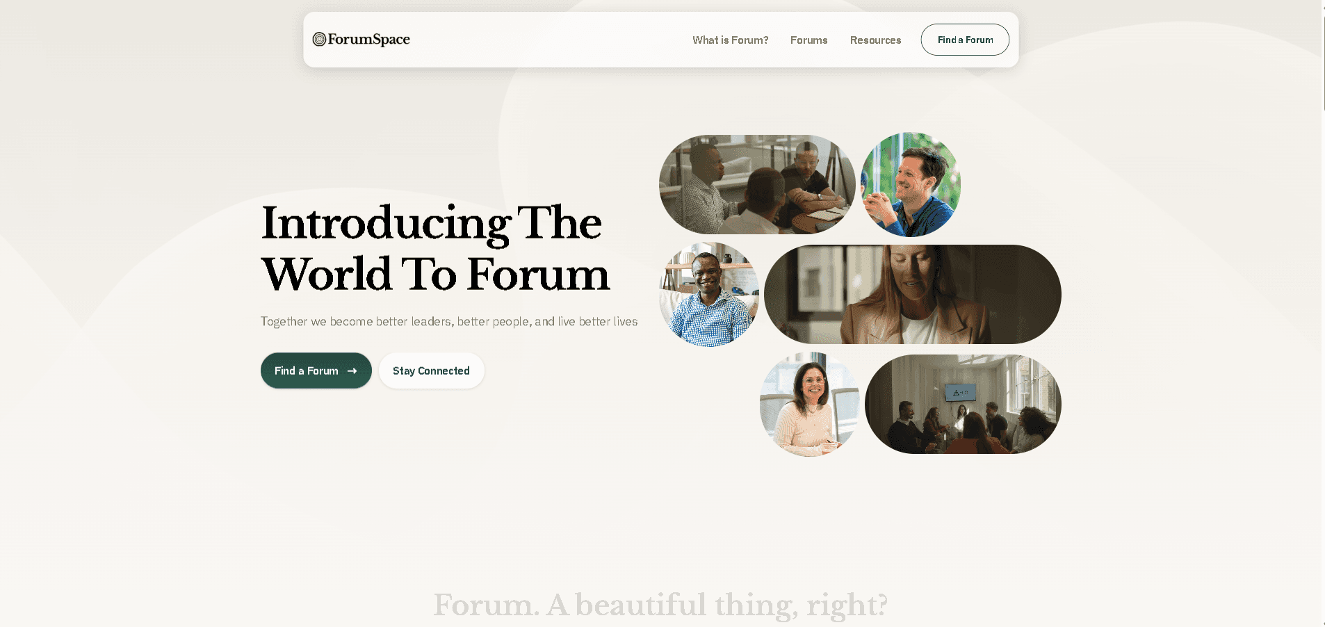 How ForumSpace Approaches This