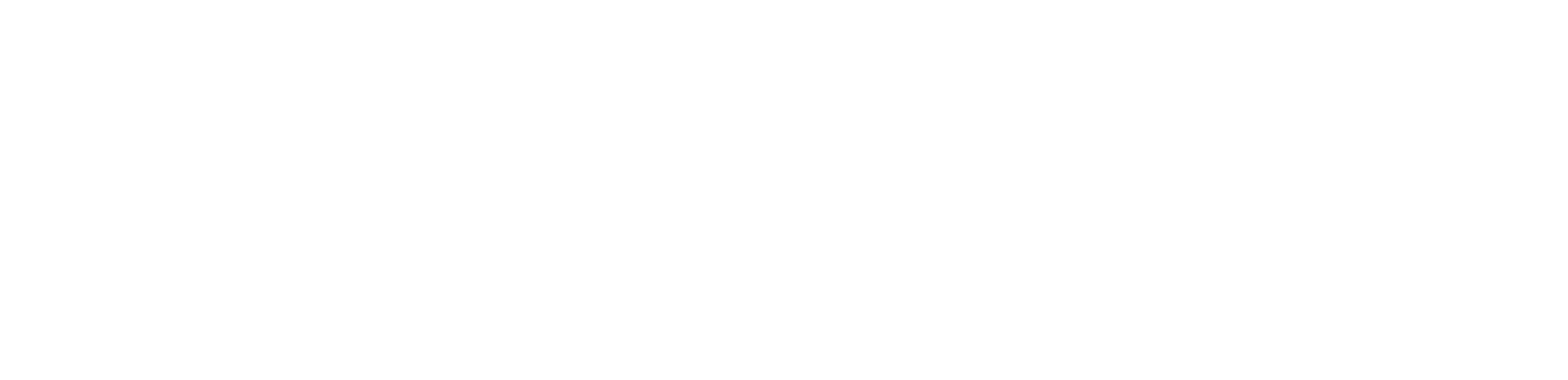 CL Angelo Alimentos