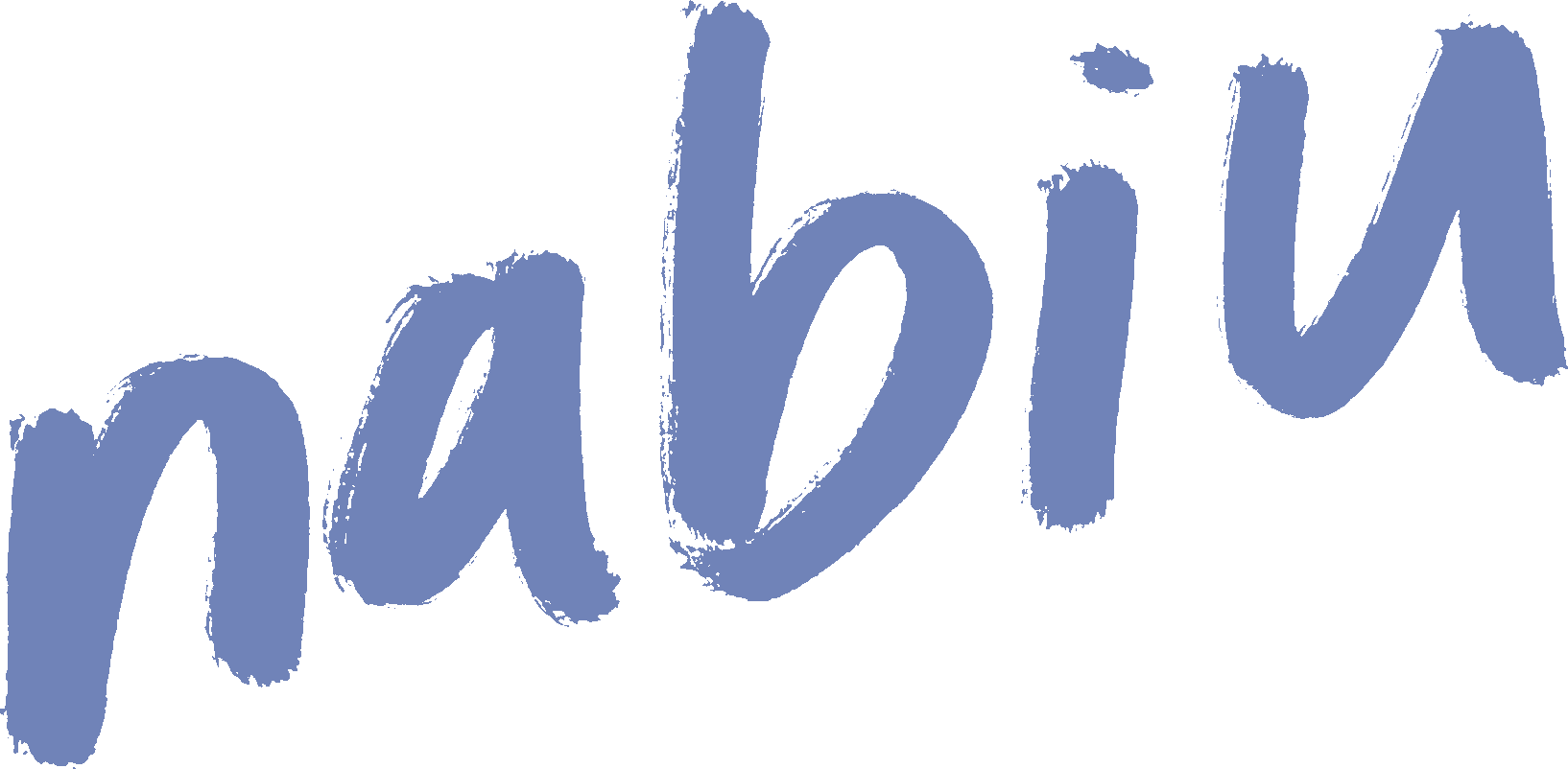 handwritten logo reading "nabiu"