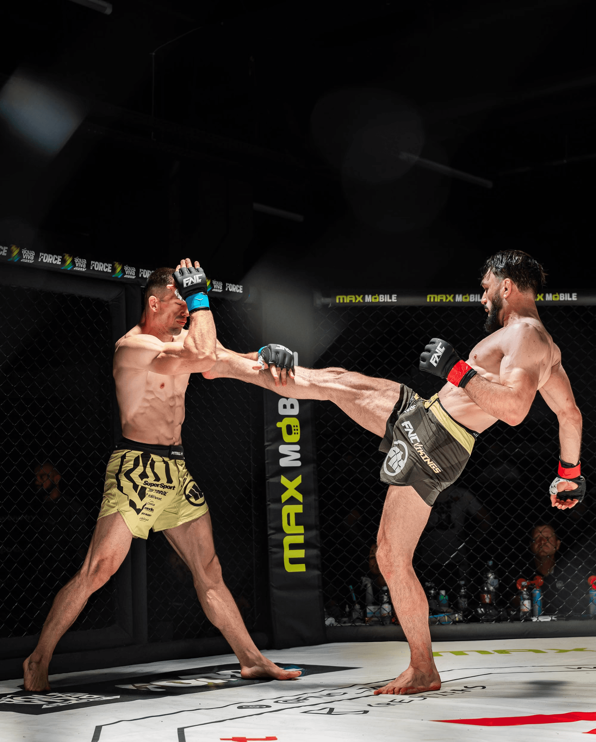 Ramiz Lupić izvodi visoki udarac u profesionalnoj MMA borbi, tehnika koju predaje u TCA.