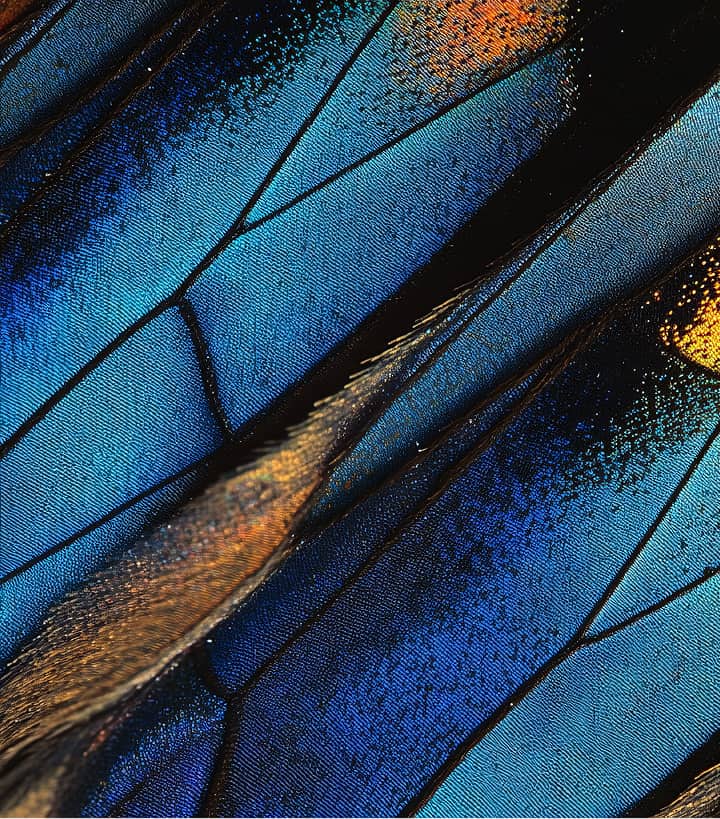 Work-Life Balance Couching