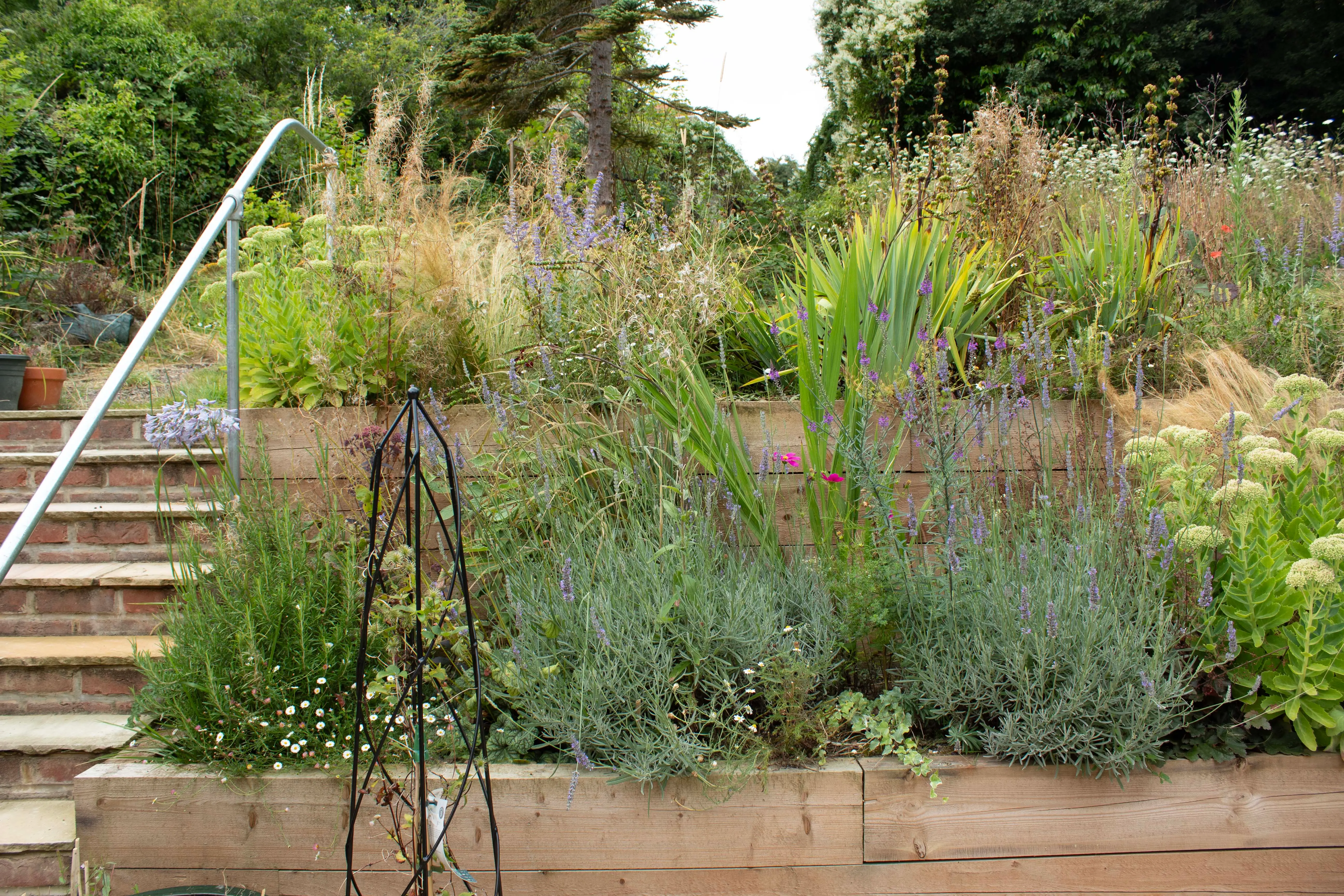 Lush garden with various plants and grasses beside a set of stone steps leading upwards.