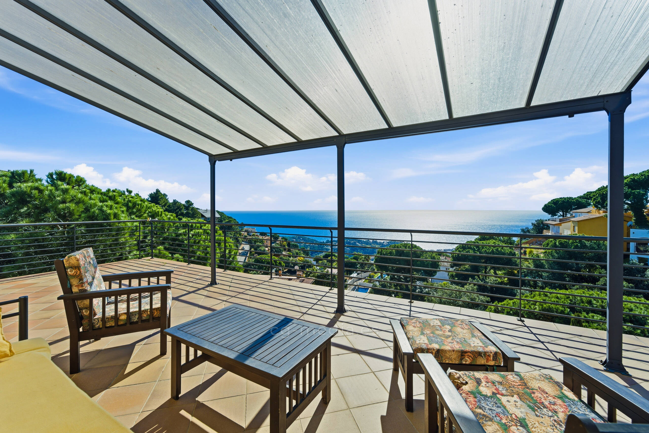 Elegant Portrait of a Black Woman in White Shirt